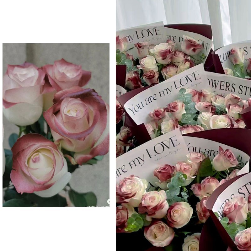 Internet celebridad ciruela negro rosa púrpura flores autopintadas agente de pulverización de color tinte floral spray colorante