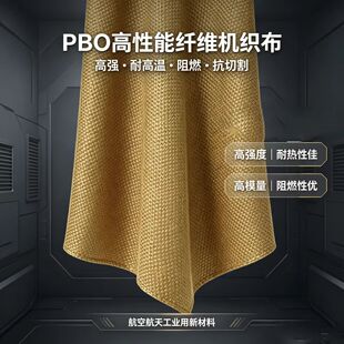 PBO�w�S�C���� �ی����α��K���f��ߏ���ģ��ȼ�� �͸ߜغ��պ�