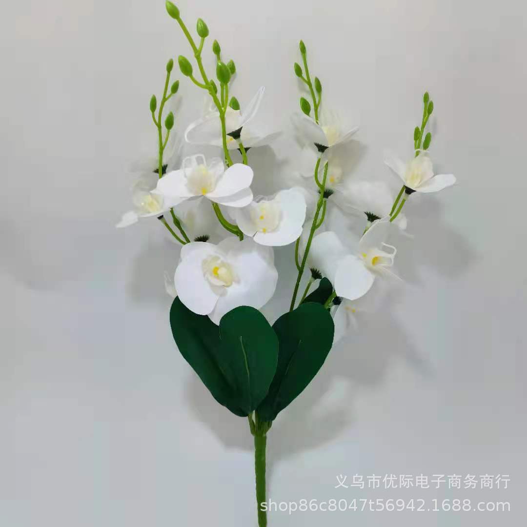 bde623ea5f9409ce757165dbe437d2