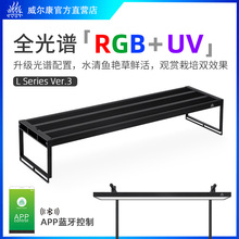 ������Lϵ��WRGBUVȫ���Vֲ���ԭ��Ϫ���ױ��������v�~ˮꑸן�