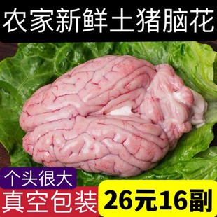 大猪脑花生猪脑子批发新鲜猪脑花猪脑子左右脑 脑髓火锅烧烤食材-阿里巴巴
