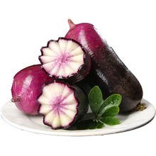 ����ɽ�|������ˮ���}����Ƥ�}�����rˮ���������}��һ�����l���]