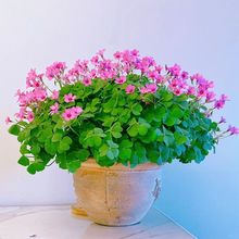 (���B)�ļ��_�����{���Ϙ����~�����\���̨�k����ˮ�����඼��