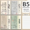 【Plastic Set their national style preface (B5/96 sheet)】
