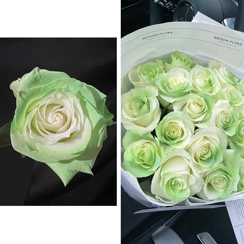 Internet celebridad ciruela negro rosa púrpura flores autopintadas agente de pulverización de color tinte floral spray colorante