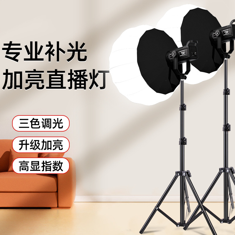 Luz de relleno en vivo ancla especial fotografía luz belleza LED luz solar estudio en vivo siempre brillante luz de iluminación esférica