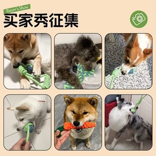 �����K�Y���ĥ����ҧ���^̩�ϱ���С����Ȯ�␞���ӌ�����Ʒ