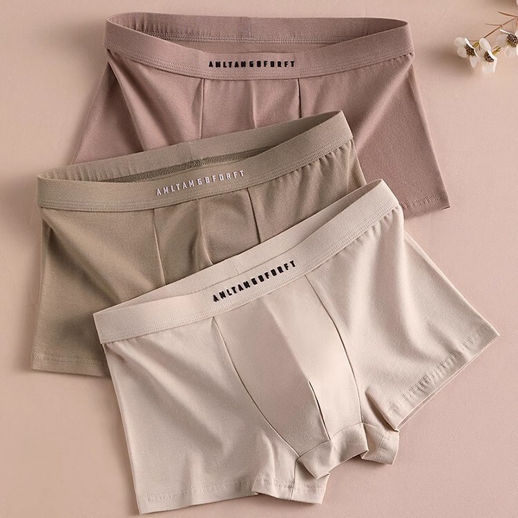 Underwear men's cotton antibacterial men's cotton men's boxer shorts 2024 new autumn and winter boys boxer shorts head