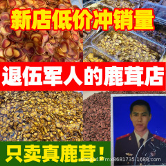 鹿の角の卸売、全角片、半角片、赤粉片、血片、破片、バラバラのニホンジカ