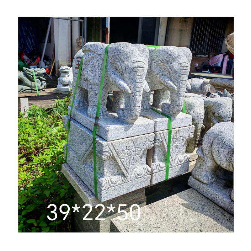 вɸҴ | ݰֹ | ԰/ͥԺſھ