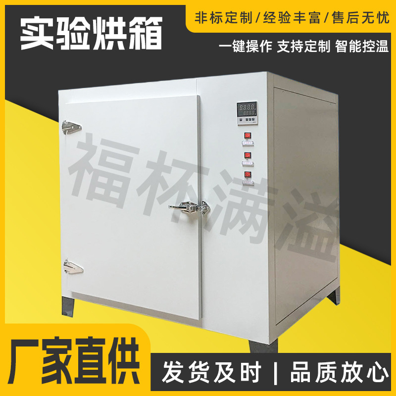 电热恒温干燥箱小型实验脱水烘干箱智能数显温控热风循环恒温箱