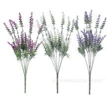 ӆ��ֲ�q�Ҿ�޹�²� 5�^����޹�²����l��@�L���bѻ��ٻ��S��