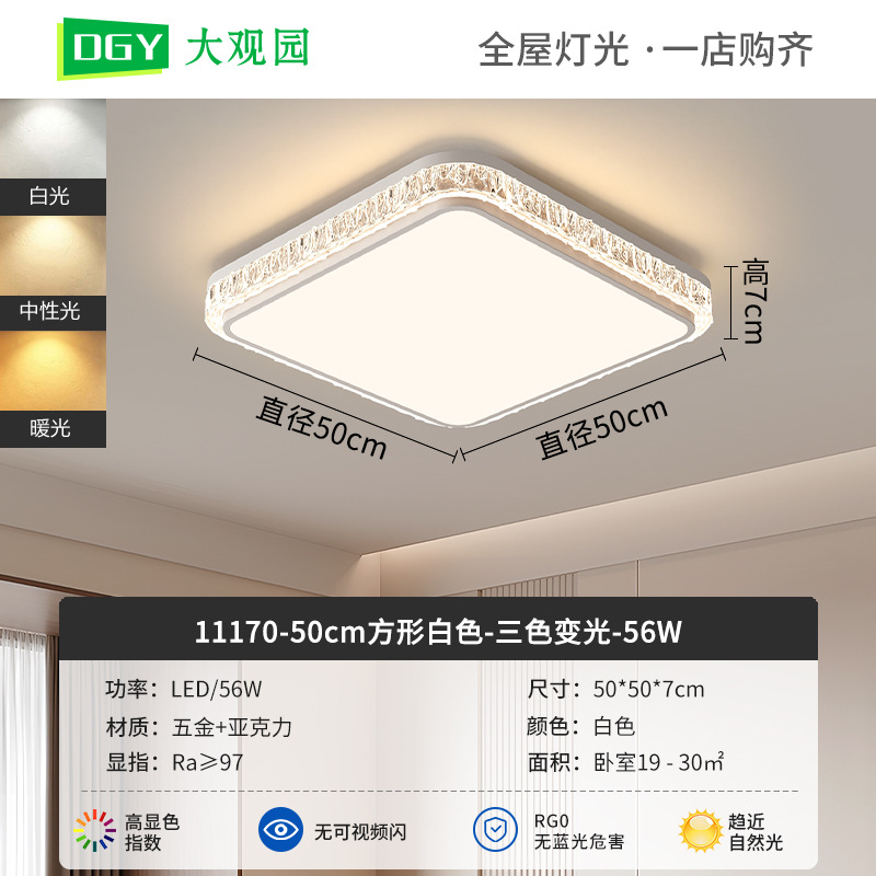 Luz de techo de sala de estar moderna y simple nueva luz de lujo de alto nivel, luz de techo de protección de ojos de espectro completo 293L