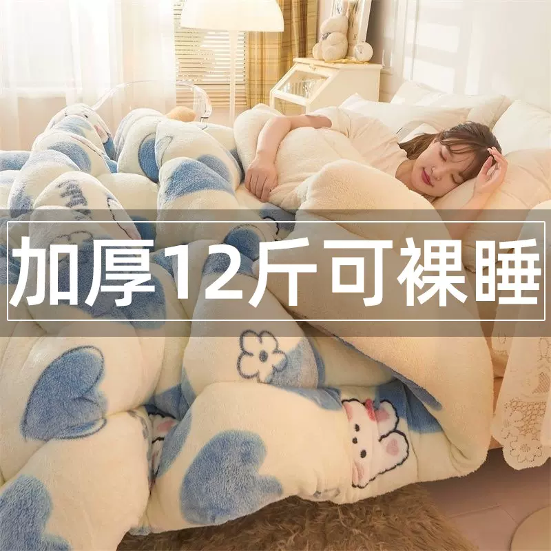 新款雪花绒冬被牛奶绒被芯冬被双面绒被套加厚10斤秋冬羊羔绒棉被