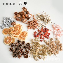 �S��ֱ�N��Ȼ�ɹ��ɻ��M�ϲ��ϰ��}�Q�������b��ֹ��h��diy��޹