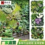 门头米兰仿真植物形象墙