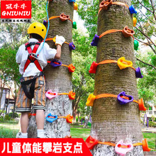 ��ͯ�����ʘ��b������ʯ����֧�c�׃��@�w��Ӗ�����đ������ץ��