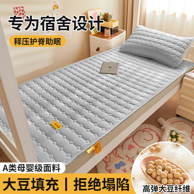 Colchón de soja, cojín, dormitorio de estudiantes en casa, cojín individual, cojín, piso especial para alquiler, cojín para dormir, fondo de cama