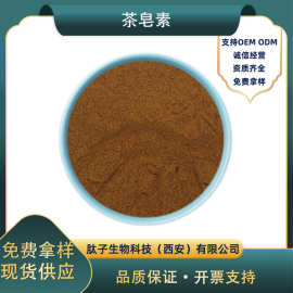 茶皂素山茶树籽提取物茶皂甙现货直发现货直发茶皂素