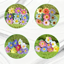 滨Сrոɣ_mʾՆ֧滨쾰bzӰ