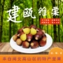 福建建瓯新鲜特产锥栗