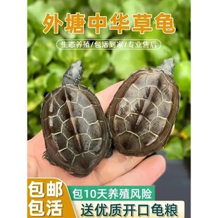 ���������С�������B�^�p�L�����������A����������ˮ����ī��