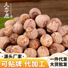 新鲜莲子有芯带心干货500g湖南湘潭无硫湘莲批发定制带芯红皮莲子