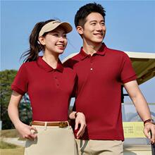 190���揗�޵��wPOLO�������Č��I�H�ӻ�ӷ��IT��V�����ƶ�LOGO