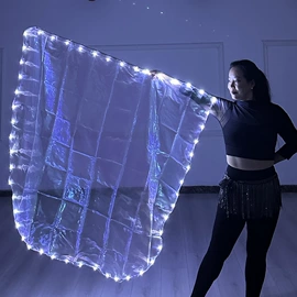 舞台/表演服;肚皮舞表演服;旗帜