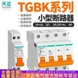 TENGEN天正 TGBK-63空气开关小型断路器1P2P单相3P电闸63A家用32A