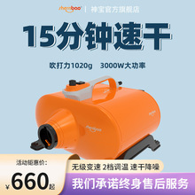 񌚌ﴵˮCдȮϴpR_ʽëLC