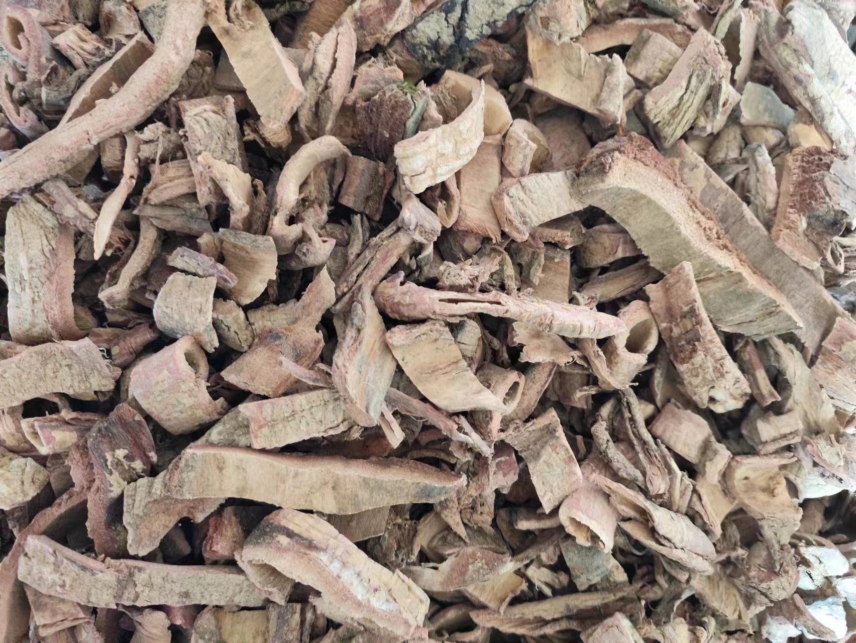 Tu Jin Pi (Pseudolarix amabilis) — Dried Traditional Herb Bark, 500g quality and texture