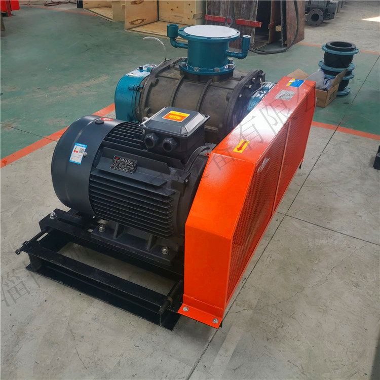 罗茨鼓风机 防腐罗茨风机 氯气输送内部镀镍涂层机械密封罗茨风机