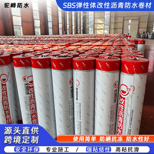 sbs��ˮ��������픻𿾸����;���̥�ͺ�̥�⠝���Ԟr���ˮ����