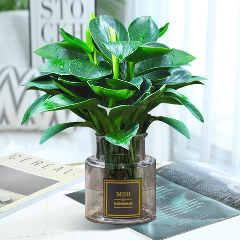 [두인 핫모델] 골든다이아몬드 3개(하이넥 그레이 유리병) + 크리스탈 머드 + 영양액