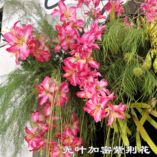 ����õ�tɫ���G�����l �o�~�������G�� ��ɫ��cܛ�b�Ƶ��bٻ�