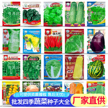 批发春秋季四季蔬菜瓜果种子青菜生菜豆角玉米西瓜茄子西红柿辣椒