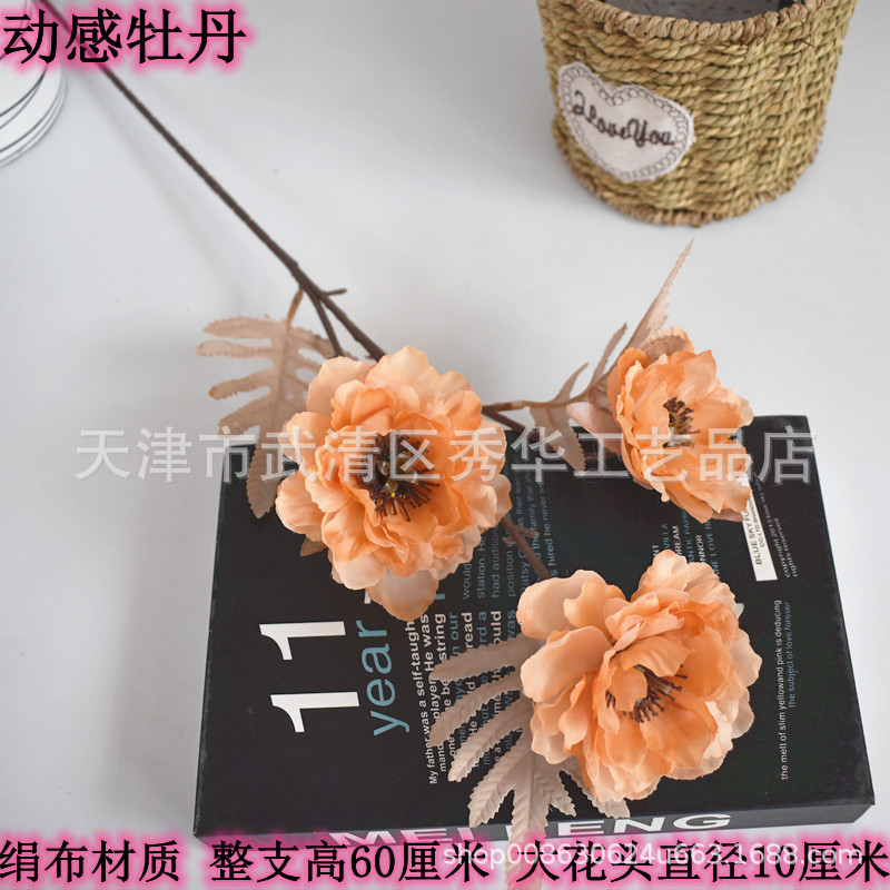 3 실버 로터스 얕은 가을의 머리