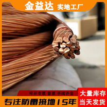 铜包钢绞线接地线避雷接地母线铜覆钢绞线镀铜钢绞线