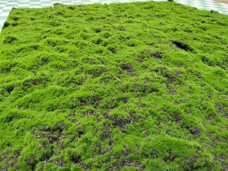 QQ图片20220701141704_副本