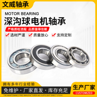 ������S��6211 6212 6213 62146215-6224ZZ/2RS�߶˾���늙C�S��