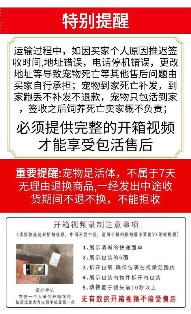 1868ed54-298c-4c7d-b050-c6892d1870aa.jpe