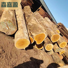 非洲黄花梨 巴新黄檀原木 黄檀方料 实木家具材 木质稳定