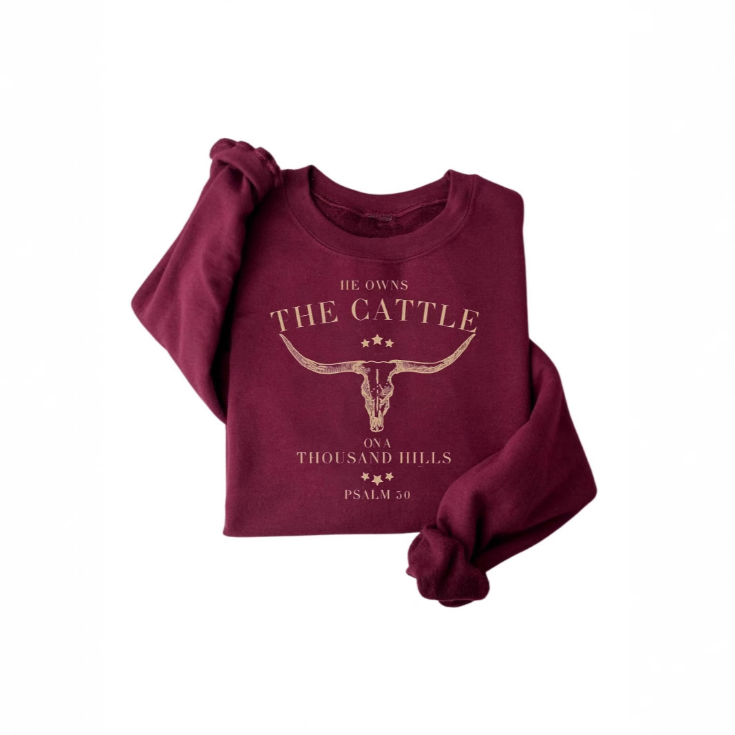 外贸速卖通跨境2024春季新款男士女士时尚休闲运动连帽卫衣上衣