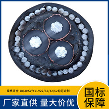 WDZC-YJLY22 WDZAN-YJLY23 WDZBN-YJLY33 6/6KV�͟��o�u�Љ��X�|