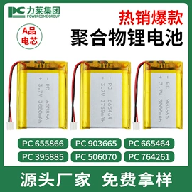 锂电池;其他电源