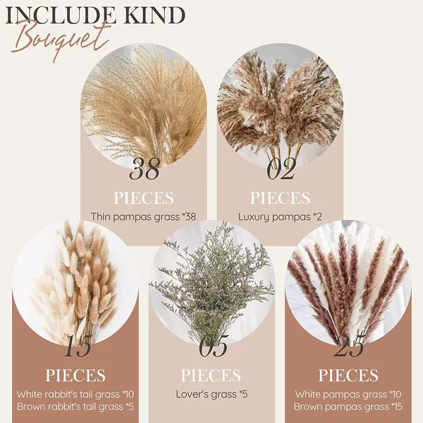 Set 42