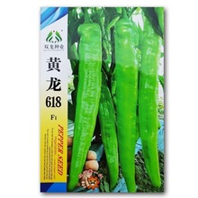 黄龙618 黄绿皮尖椒种子中早熟味中辣连续坐果力强抗病大田用种孑