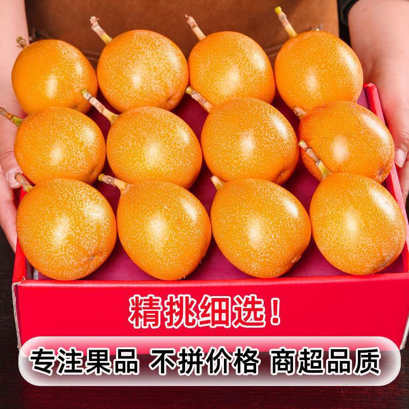 0.5kg -A+ 등급 [특대형 과일] 슈퍼마켓 품질, 점장이 적극 추천합니다!