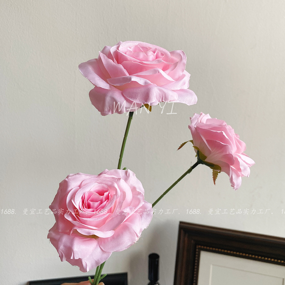 Rosa desnuda rosa diamante de tres cabezas